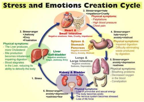 Vos émotions affectent votre corps